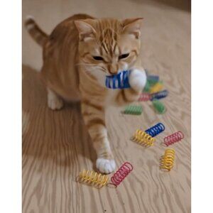 Cat Toy Spring Spiral Bounce Play Hunt Rainbow Bright Colors Pack of 25